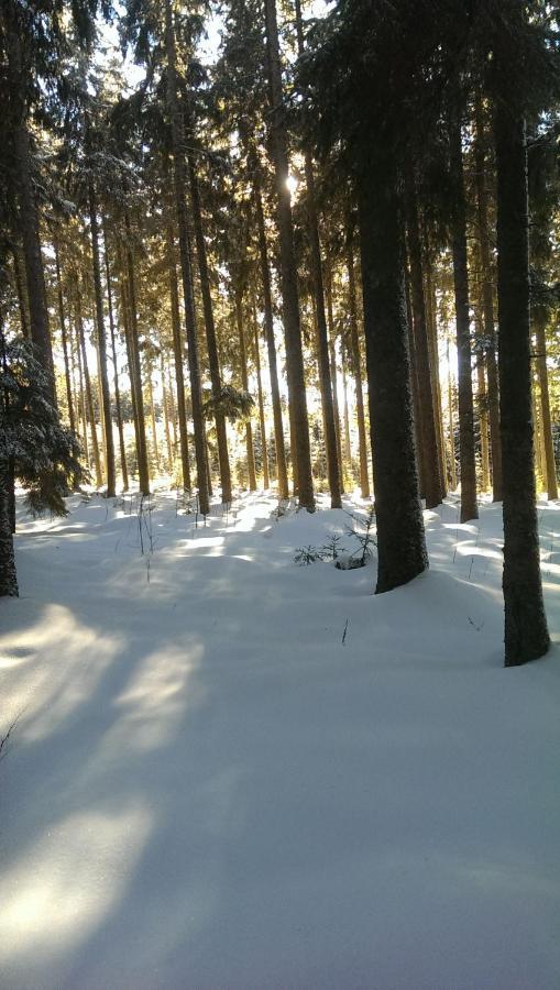 Schwarzwald Geht Immer Fewo 60 Qm Mit Grossem Suedbalkon, Wlan Und Magenta Tv Schönwalde 外观 照片
